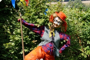 dsc03536