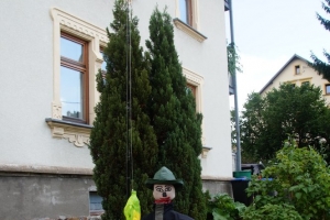 dsc02972